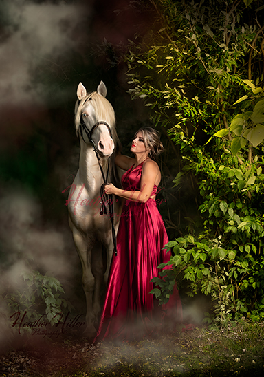 Lusitano stallion: Ikarus